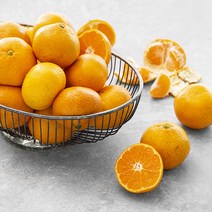 친환경 제주도 노지감귤, 3kg, 1개