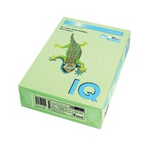 몬디 IQ COLOR 다용도 색상지 MG28 미디엄그린 80g, A4, 500매