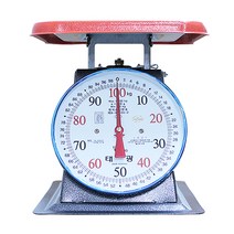 태광 특대형 접시지시저울 100kg ST-H100, 혼합색상