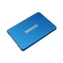 리뷰안 게이밍 SSD, 900G, 250GB