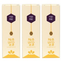 야생화 제주벌꿀, 30개, 10g