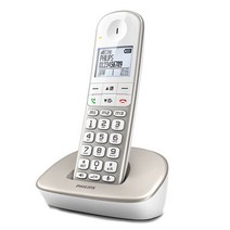 필립스 디지털 무선 전화기 샴페인골드 XL490