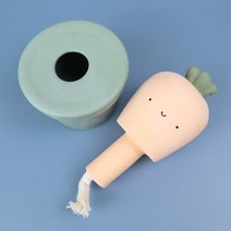 채소 삼총사 디퓨저 당근 주황색 7.5 x 7.5 x 10 cm, 헤스페리데스