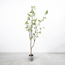 마쉬매리골드 동백나무 150cm, 혼합색상, 1개