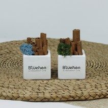 블뤼엔 큐티미니화이트 스칸디아모스 라벤더블루 + 모스그린, 1세트