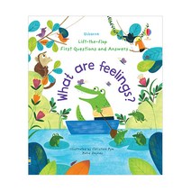 Lift-the-flap Questions and Answers : What are Feelings?, Usborne