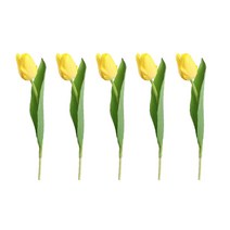 아리코 조화 마일드가든 튤립 5p, 옐로우