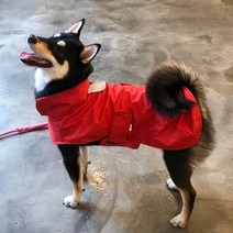 리얼펫 반려동물 심플 레인코트 겸용 바람막이 자켓, RED