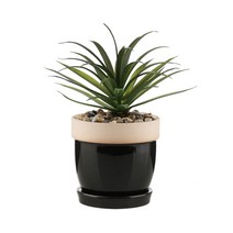 삼호유리 칼라 도토리 조화 + 화분 세트 SH18735-5, 블랙