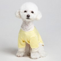 메종드독 데일리케치 강아지옷, 옐로우
