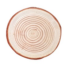 아둥놀이터 낙엽송 우드 코스터, 혼합색상