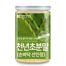 부영한방약초 제주도 손바닥 선인장 천년초 분말, 1개