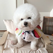 바이담수미 리본끈 한복 강아지 케이프 XL, 색동