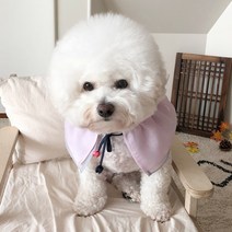 바이담수미 한복 강아지 케이프 XL, 퍼플