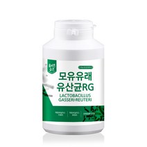 올바른습관 모유유래유산균 RG 300g + 계량스푼, 1세트