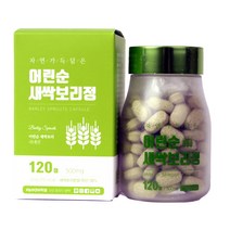 자연가득담은 어린순 새싹보리정 영양제, 120정, 1개