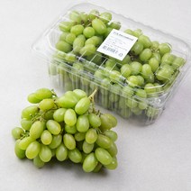 칠레 씨없는 청포도, 1.8kg, 1개
