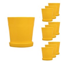담따 베이직 미니 화분 10p, YELLOW