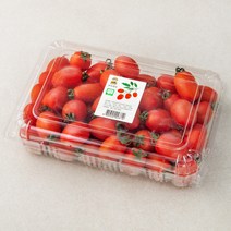 컬러 대추 방울토마토 탱글탱글 토마토 1kg [산지직송], 2kg [1+1구매 시 3,000원 할인]