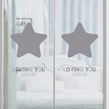 다샵 현관형 방문형 EVA 방풍 바람막이 커튼 스타그레이 투명 120 x 210 cm + 찍찍이테이프 6p + 오픈고정자석 랜덤발송 4p, 1세트