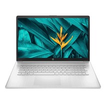 HP 노트북 17, 512GB, 네추럴 실버, HP 17s-cu0021TU, 코어i7 11세대, Free DOS, 8GB