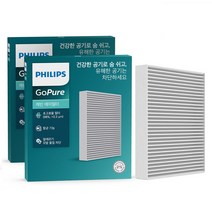 필립스 고퓨어 차량용 에어컨필터, D0161, 2개