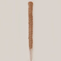 필플랜트 수태봉 화분 넝쿨식물 지지대 단독형 70cm, 1개