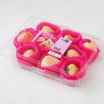 하동품애 딸기 8~12입, 320g, 1팩