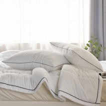 지베딩 코코넛 M2 마이크로화이바100 베개커버 2p + 솜 2p, 화이트