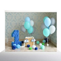 사진배경 스튜디오, 혼합 14, 1개