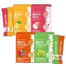 참앤들황토농원 데이앤 콤부차 복숭아 5g x 30p + 레몬 5g x 30p + 샤인머스켓 5g x 30p+ 모로오렌지 5g x 30p 세트, 1세트