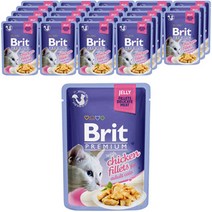 브리트 캣 프리미엄 파우치 습식사료 젤리 치킨, 85g, 24개