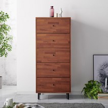 라온퍼니쳐 띠아모 600 5단 서랍장 방문설치, 브라운