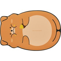 일상공감 흡수하족 진돌이 발매트, D 브라운