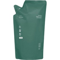디어커스 소탈한 소독 탈취제 리필, 500ml, 1개