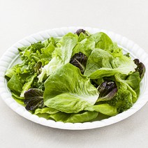 팜에이트 무농약 인증 유러피안 소프트 샐러드, 130g, 1개