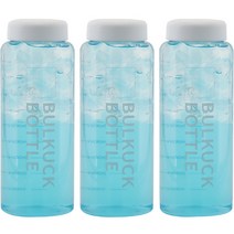 비프로젝트 BULKUCK 아이스 전용 대용량 물병 3p, 화이트, 1000ml