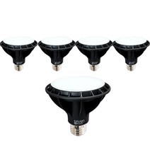 데이온 에코 파30 확산형 LED 램프 15W, 주백색, 5개
