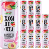 나원 스파클링 콤부차 복숭아 맛, 250ml, 12캔