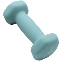 핏분 네오프렌 멜론민트 요가아령 FB-DUM401 1kg, 1개