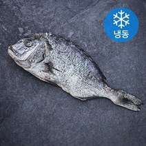 아라보감 맛 좋기로 소문난 남해 미조 반건조 참돔 찜용 제수용 (냉동), 300~500g, 1개