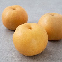 천안 당도선별 왕배, 1.8kg, 1개