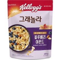 켈로그 블루베리 아몬드 그래놀라, 450g, 1개