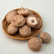 국내산 생표고버섯, 200g, 1봉