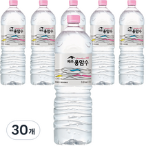 제주용암수, 2L, 30개