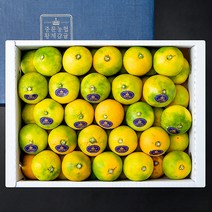 중문농협 프리미엄 황제감귤, 3kg, 1박스