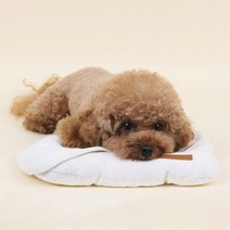 다솜 노령견 순면 안심 베개 L, IVORY