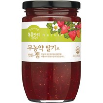 복음자리 무농약 딸기쨈, 500g, 1개