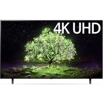 LG전자 4K UHD 올레드 TV, OLED48A2ENA, 방문설치, 스탠드형, 120cm