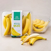 오가닉디노 바나나알로 2p + 밀크알로 2p + 초코알로 2p 세트, 바나나, 밀크, 초코, 1세트